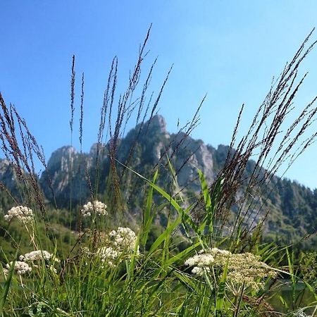 Dachstein 7 Lägenhet Gosau Exteriör bild