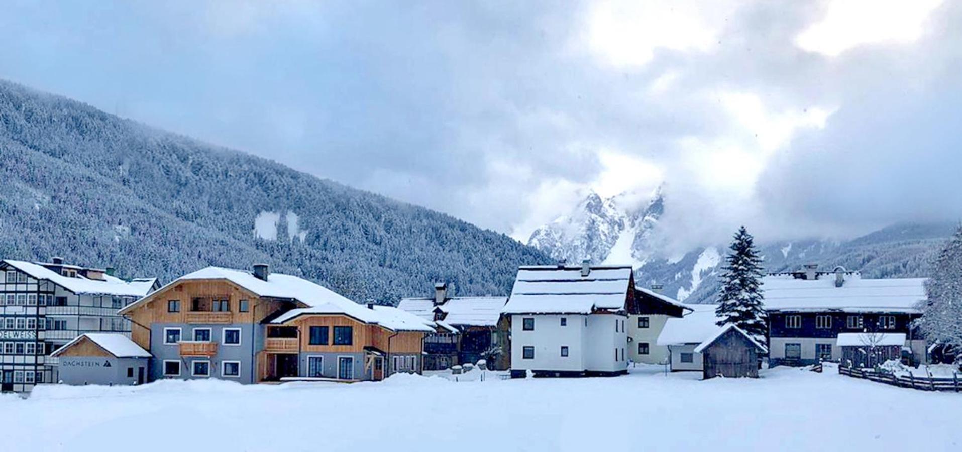 Dachstein 7 Lägenhet Gosau Exteriör bild