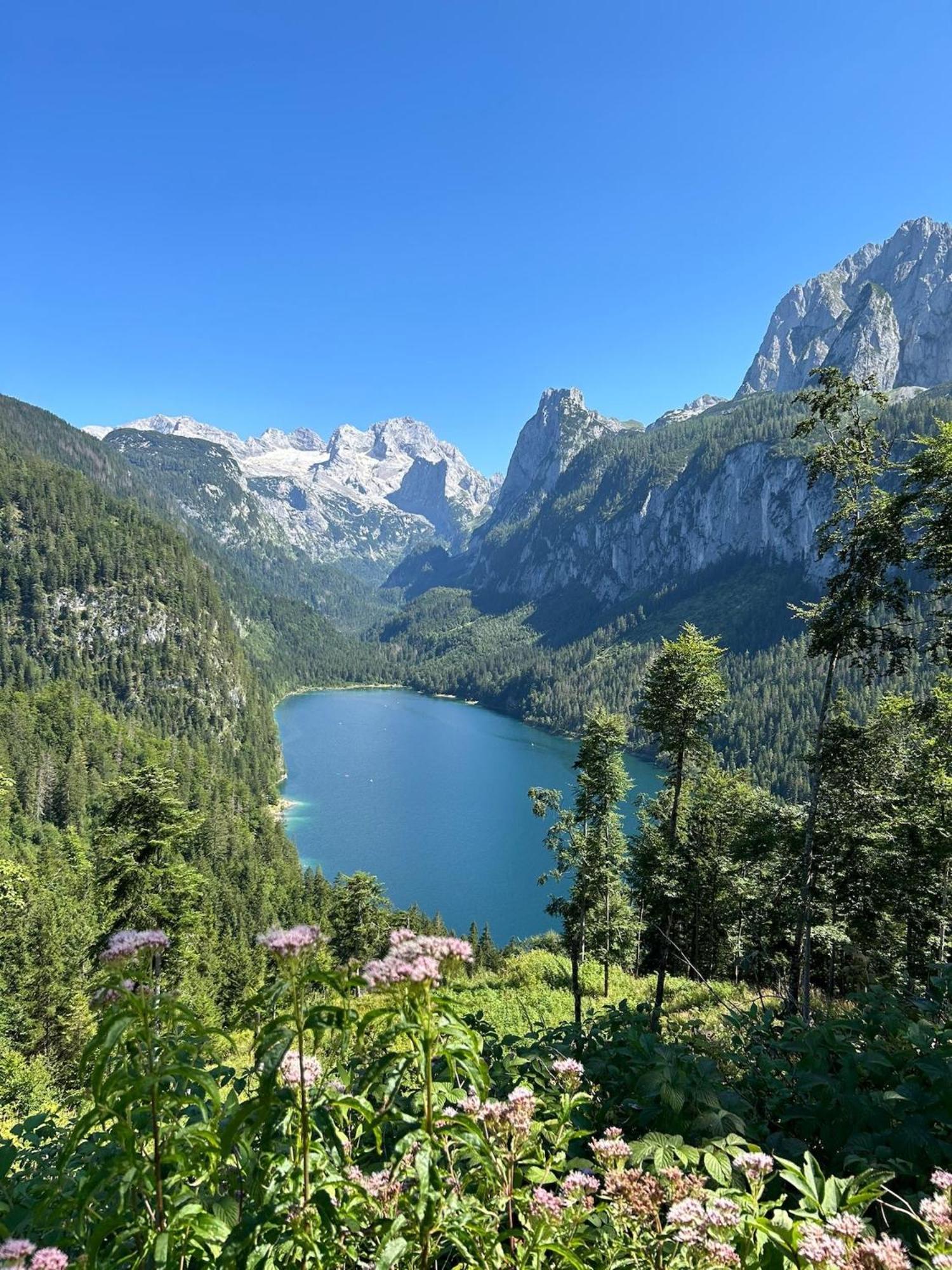 Dachstein 7 Lägenhet Gosau Exteriör bild